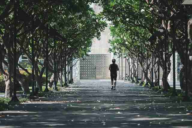 便捷妻社app对比：隐藏技巧